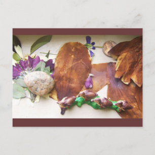 Carte postale Canards de voyage