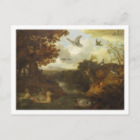 Canards et autres oiseaux autour d'un ruisseau dan