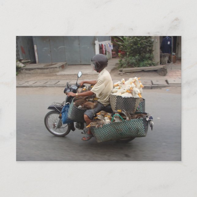 Carte Postale Canards sur moto-Vietnam (Devant)