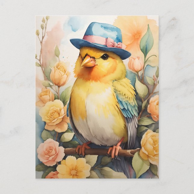 Carte Postale Canari au chapeau Fedora (Devant)
