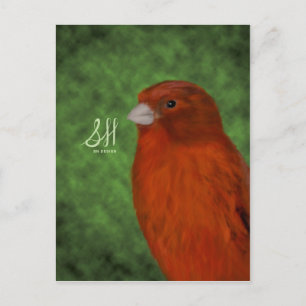 Carte Postale Canaries rouges