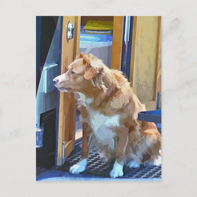 CARTE POSTALE CANAUX (Devant)