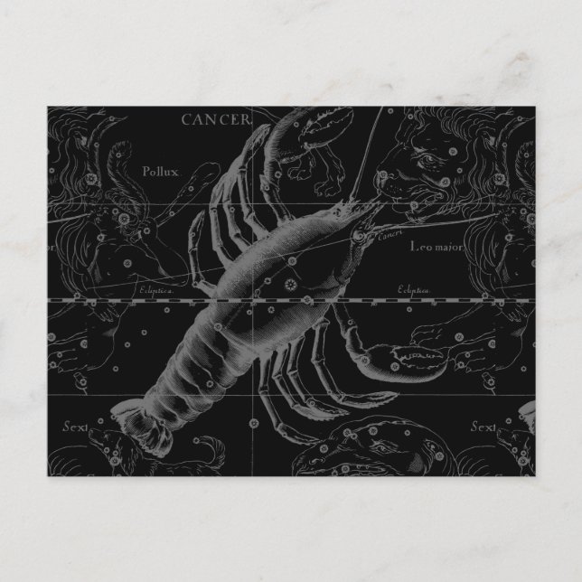 Carte Postale Cancer Constellation Hevelius 1690 sur Noir (Devant)