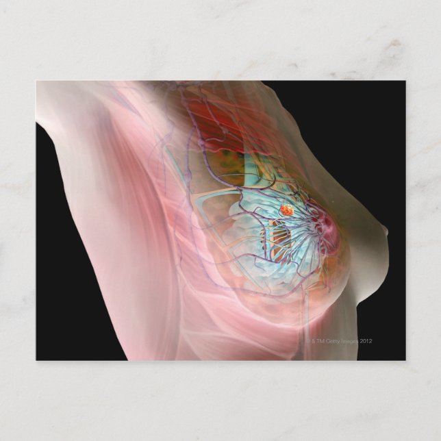 Carte Postale Cancer du sein (Devant)