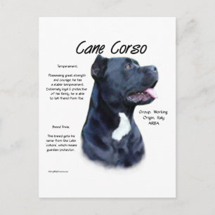 Carte Postale Cane Corso History Design