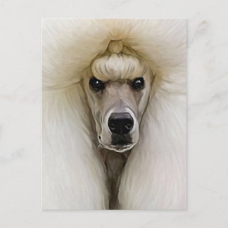Carte Postale Caniche