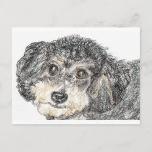CARTE POSTALE CANICHE