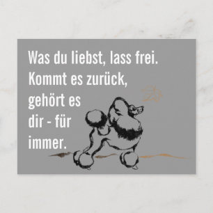 Carte Postale Caniche