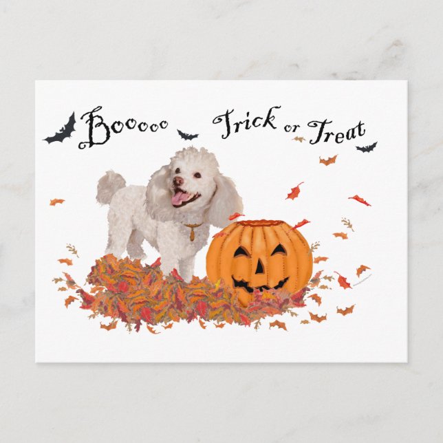 Carte Postale Caniche à Halloween (Devant)