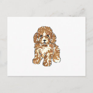 Carte Postale Caniche jouet