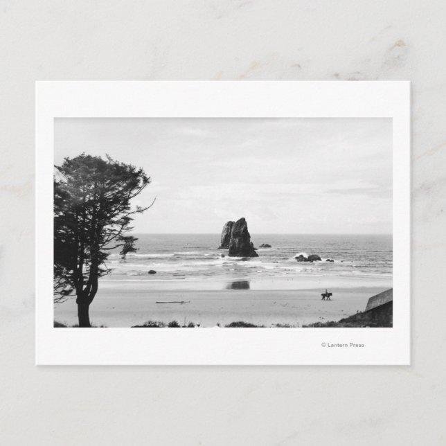 Carte Postale Cannon Beach, Oregon Scene avec les aiguilles (Devant)