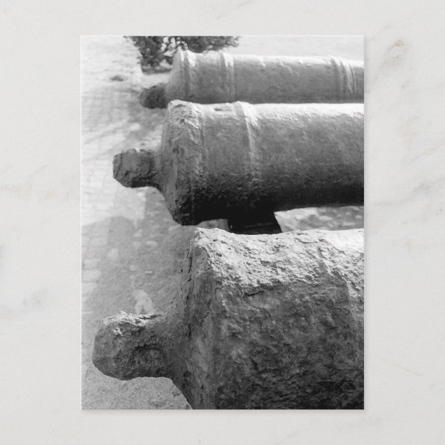 Carte Postale Canons (Devant)