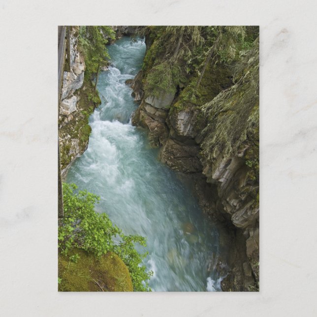 Carte Postale Canton de Johnston (Devant)