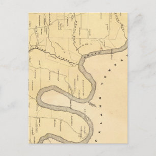 Carte Postale Canton de Scrub Grass