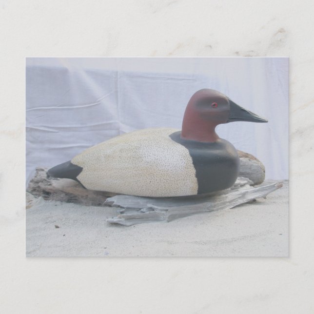 Carte postale Canvasback Duck Decoy (Devant)