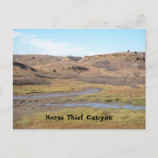 Carte Postale Canyon Cheval Thief