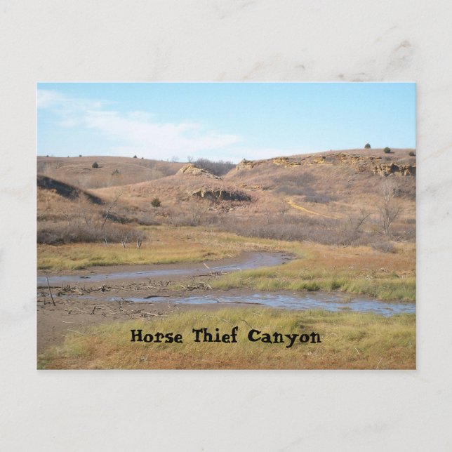 Carte Postale Canyon Cheval Thief (Devant)
