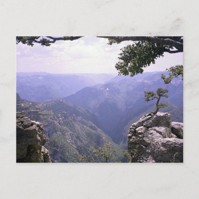 Carte Postale Canyon de cuivre (Devant)