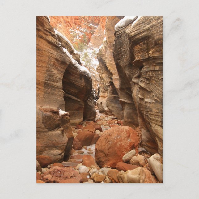 Carte Postale Canyon de la Fente dans le Parc national de Sion (Devant)