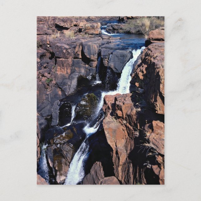Carte Postale Canyon de la rivière Treur, Transvaal Est, Afrique (Devant)