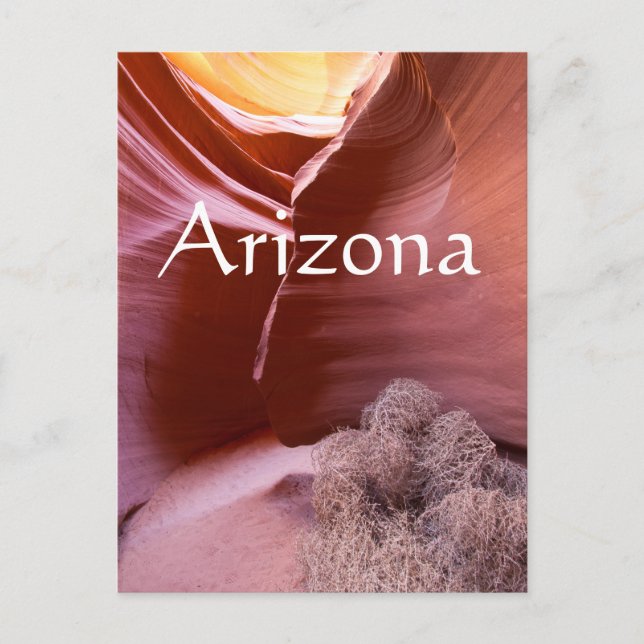 Carte Postale Canyon de nombreuses couleurs, Arizona (Devant)