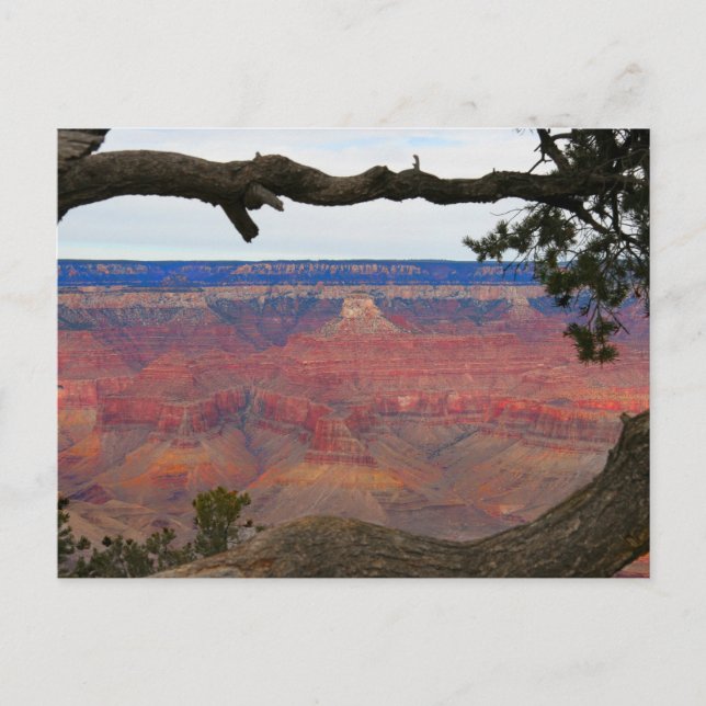Carte Postale Canyon grand (Devant)