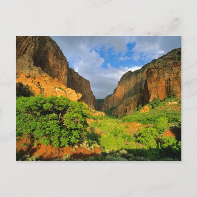 Carte Postale Canyon Kolob à Zion Canyon à Zion National (Devant)