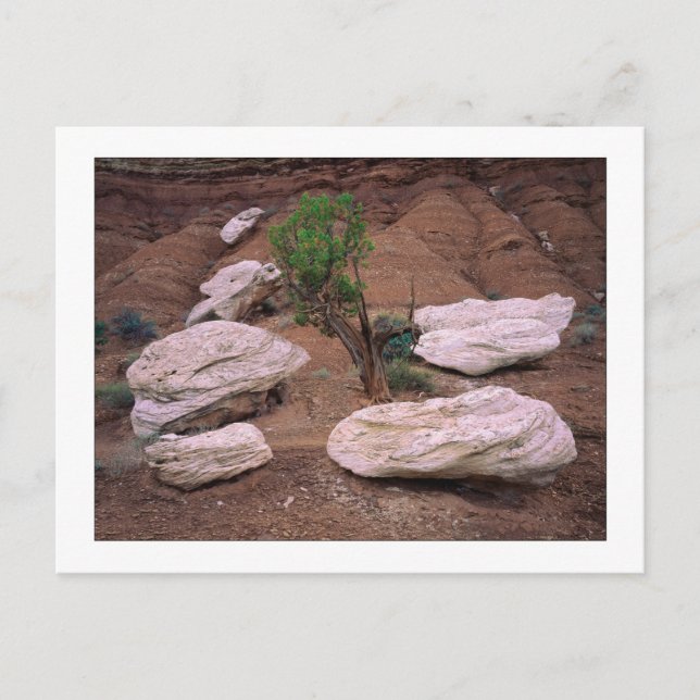 Carte Postale "Canyon Pods" (Devant)