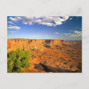 Carte Postale Canyonlands National Park, Utah, États-Unis