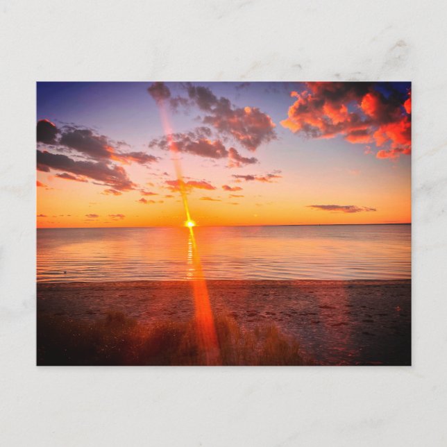 Carte Postale Cape Cod Beach Sunset Photo (Devant)