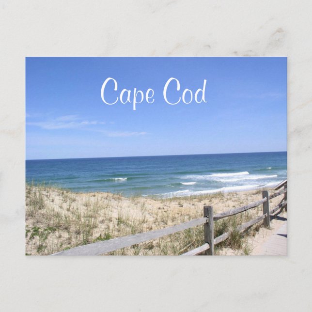Carte Postale Cape Cod Mass Dunes Beach Ocean Post Card (Devant)