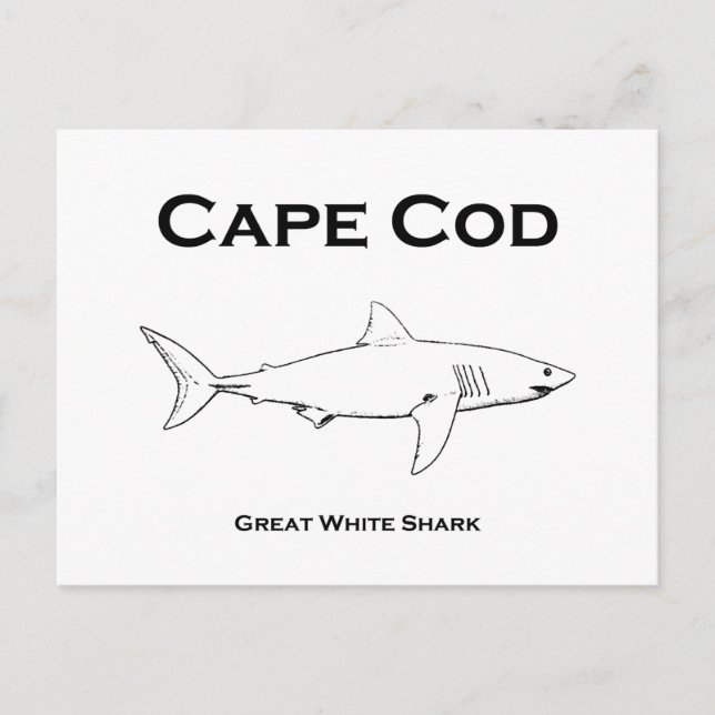 Carte Postale Cape Cod Massachusetts Great White Shark Logo (Devant)