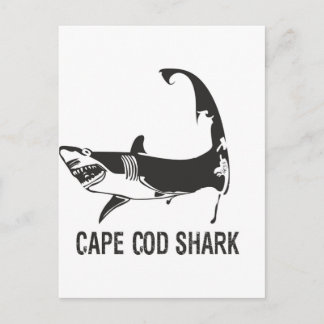 CARTE POSTALE CAPE COD SHARK