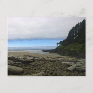 Carte Postale Cape Cove, Cape Perpetua, Oregon