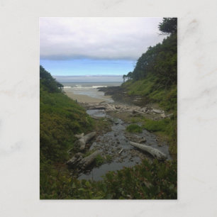 Carte Postale Cape Cove, Cape Perpetua, Oregon