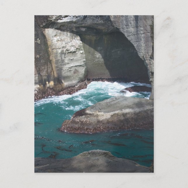 Carte Postale Cape Flattery Washington State (Devant)