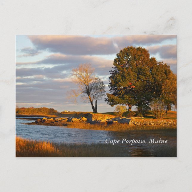 Carte Postale Cape Porpoise, Maine (Devant)