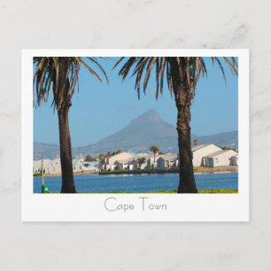 Carte Postale Cape Town Afrique du Sud Les palmiers à tête de li