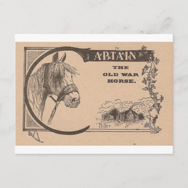 Carte Postale Capitaine Le Cheval De L'Ancien Guerre (Devant)
