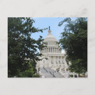 Carte Postale Capitol Building Arbres encadrés