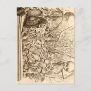 Carte Postale Capteurs pour nourrissons