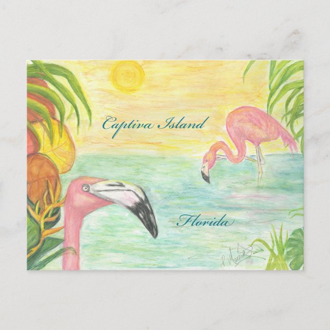 Carte Postale Captiva Island Flamants roses Floride Art (Devant)