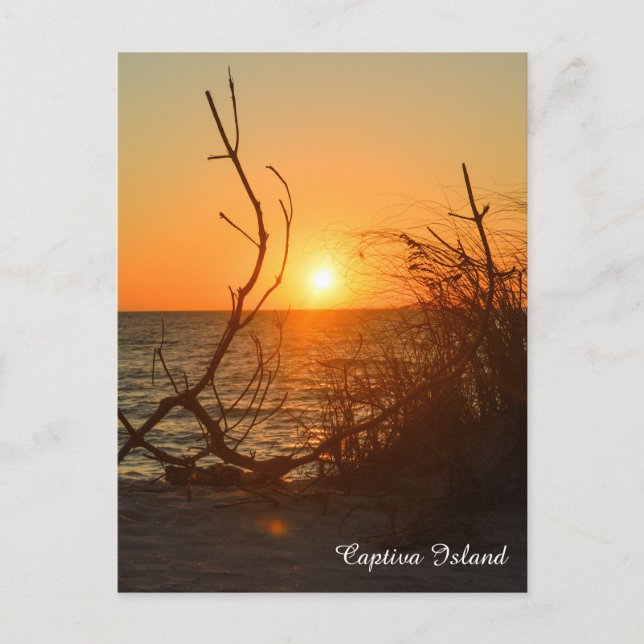 Carte postale Captiva Sunset (Devant)