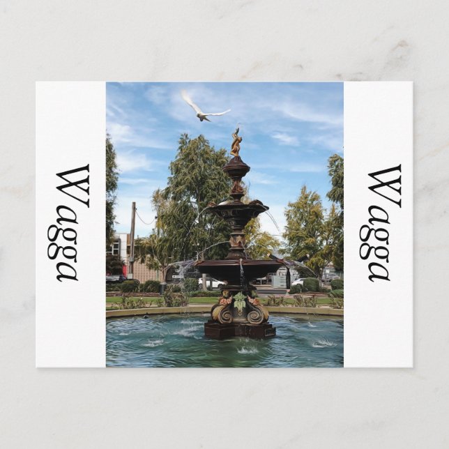 Carte Postale Capture d'oiseau volant de la fontaine (Devant)