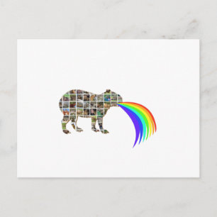Carte Postale Capybara aboyer sur un arc-en-ciel