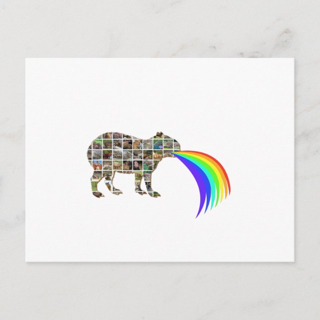 Carte Postale Capybara aboyer sur un arc-en-ciel (Devant)