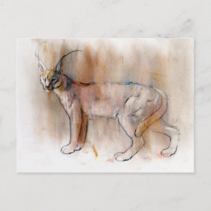 Carte Postale Caracal arabe 2009
