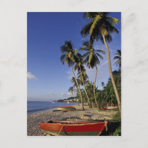 Carte Postale CARAÏBES, Grenade, Saint-Georges, Bateaux à palme