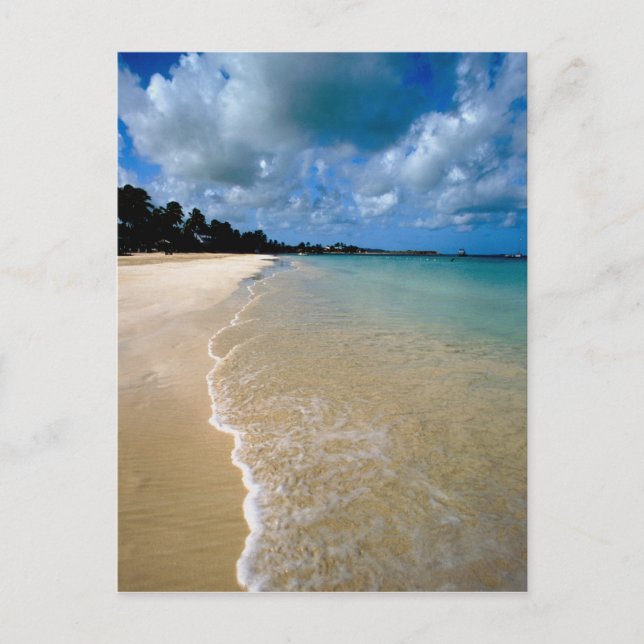 Carte Postale Caraïbes, îles Leeward, Antigua, Dickenson (Devant)