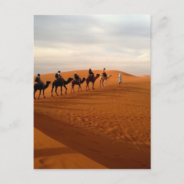 Carte Postale Caravane de Camel désert beaux paysages (Devant)